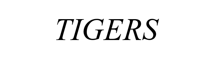 ArTarumianMatenagir  Italic  Free Fonts Download