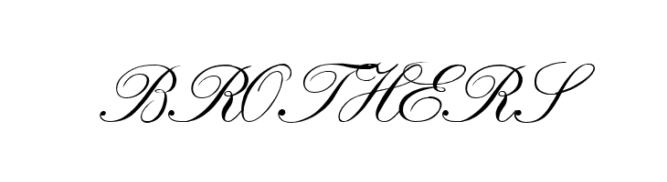 VI Bach Mai Hoa  Free Fonts Download