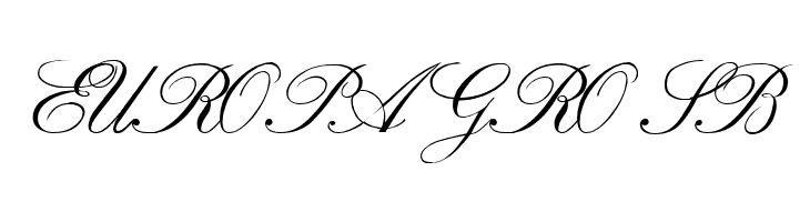 VI Bach Mai Hoa  Free Fonts Download