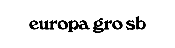 VI Huynh Anh  Free Fonts Download