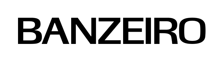 KasseFLF-Bold  Free Fonts Download