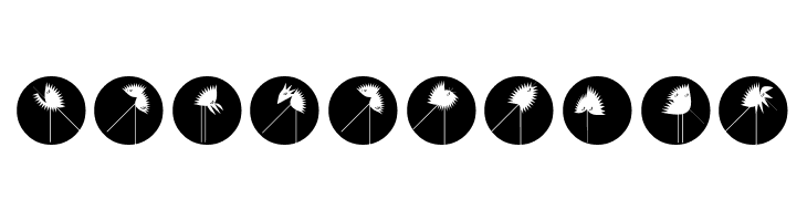 RunningZigzagsTwo  Free Fonts Download