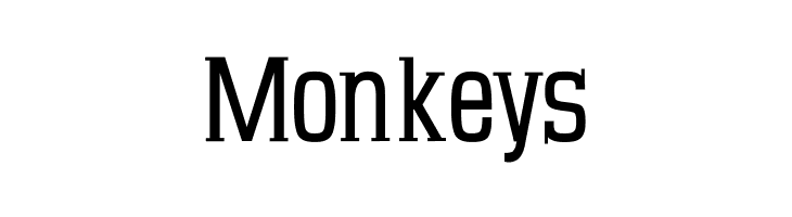 MKSerifTallXMedium  Free Fonts Download