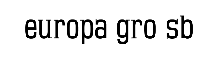 MKSerifTallXMedium  Free Fonts Download