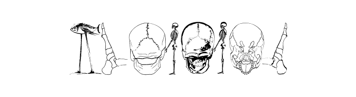 SurrealisMK  Free Fonts Download