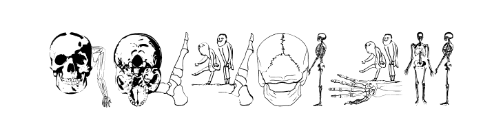 SurrealisMK  Free Fonts Download