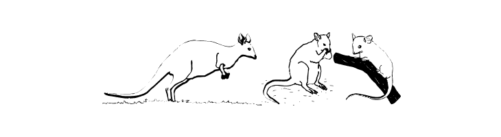 AustranimalsOne  Free Fonts Download