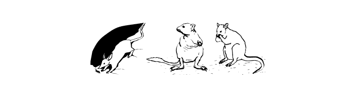 AustranimalsOne  Free Fonts Download