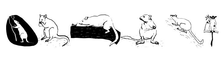 AustranimalsOne  Free Fonts Download