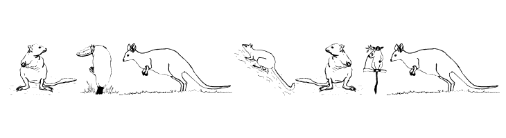 AustranimalsOne  Free Fonts Download