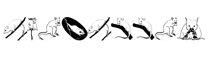 AustranimalsOne  Free Fonts Download