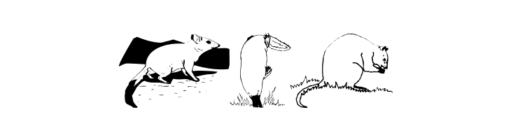AustranimalsOne  Free Fonts Download
