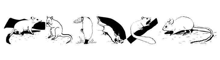 AustranimalsOne  Free Fonts Download