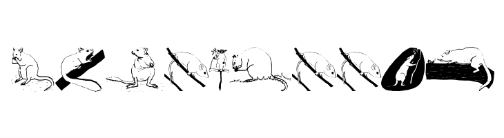 AustranimalsOne  Free Fonts Download