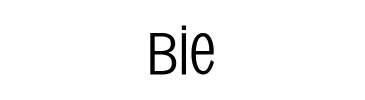 SansXHigh  Free Fonts Download