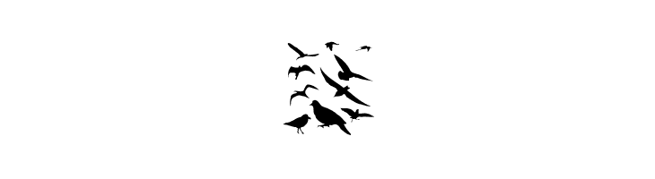BirdsAndFriends  Free Fonts Download