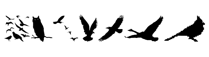 BirdsAndFriends  Free Fonts Download