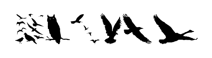 BirdsAndFriends  Free Fonts Download
