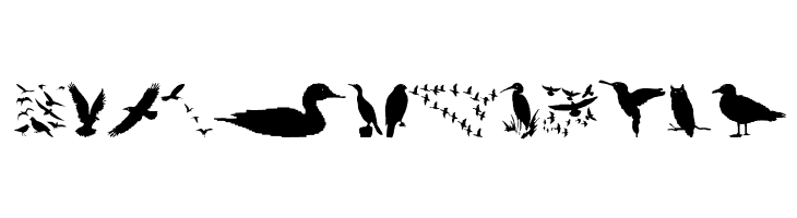 BirdsAndFriends  Free Fonts Download