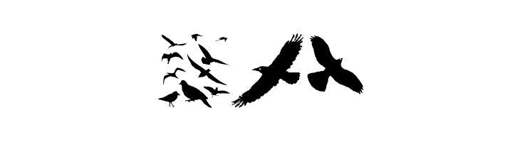 BirdsAndFriends  Free Fonts Download