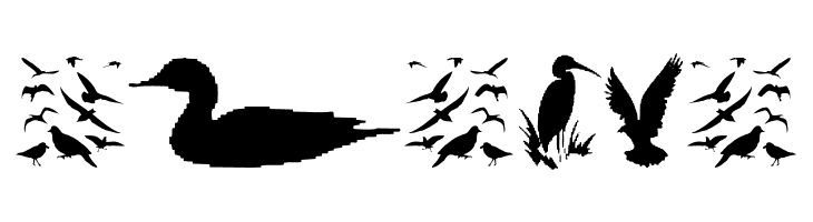 BirdsAndFriends  Free Fonts Download