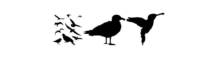 BirdsAndFriends  Free Fonts Download