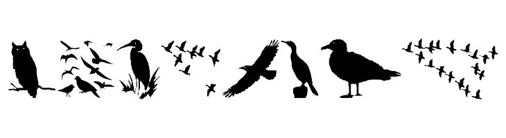BirdsAndFriends  Free Fonts Download