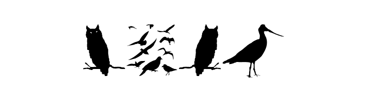 BirdsAndFriends  Free Fonts Download