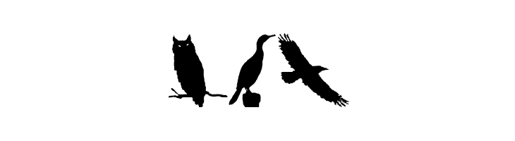 BirdsAndFriends  Free Fonts Download