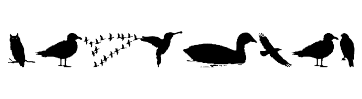 BirdsAndFriends  Free Fonts Download