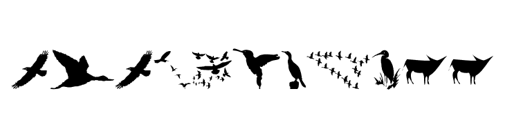 BirdsAndFriends  Free Fonts Download