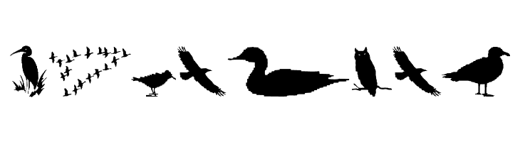 BirdsAndFriends  Free Fonts Download