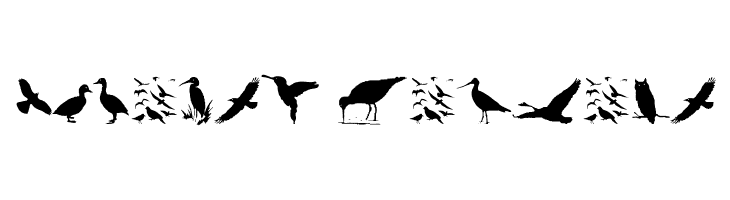 BirdsAndFriends  Free Fonts Download