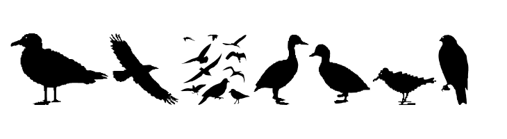 BirdsAndFriends  Free Fonts Download