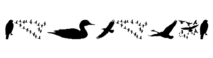 BirdsAndFriends  Free Fonts Download