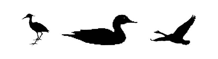 BirdsAndFriends  Free Fonts Download