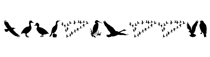 BirdsAndFriends  Free Fonts Download