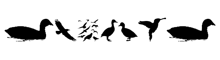 BirdsAndFriends  Free Fonts Download