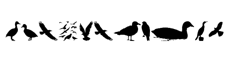 BirdsAndFriends  Free Fonts Download