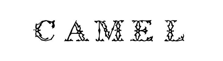 ZierCaps  Free Fonts Download