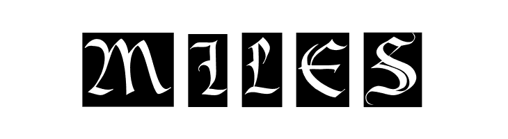 BastardaMajuskel1300  Free Fonts Download