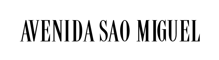 LatinSmall  Free Fonts Download