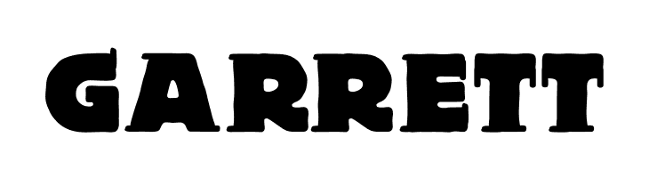 BlaxBloxx  Free Fonts Download