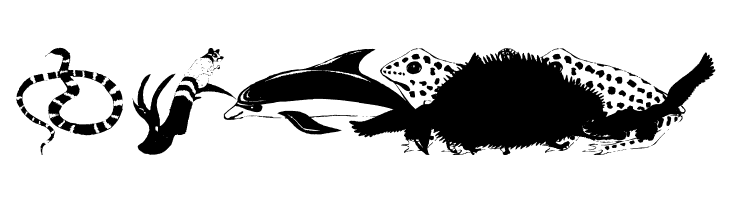 AnimalsAnywhere  Free Fonts Download