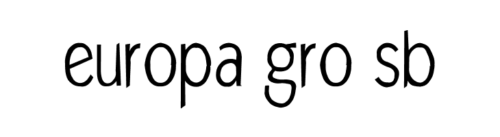 MKAbelRough random  Free Fonts Download