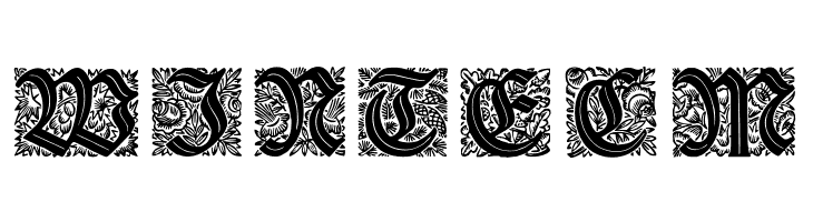 Druckschrift-Initialen  Free Fonts Download