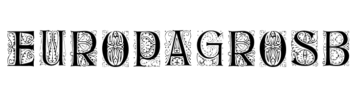 DelitschInitialen  Free Fonts Download
