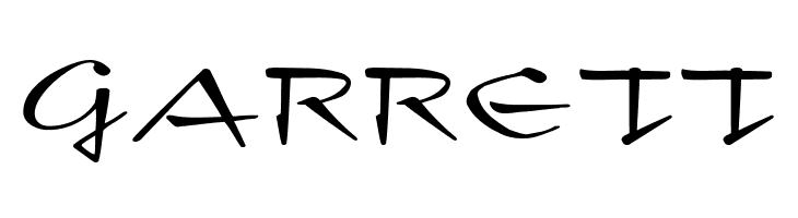 New Day Script  Free Fonts Download