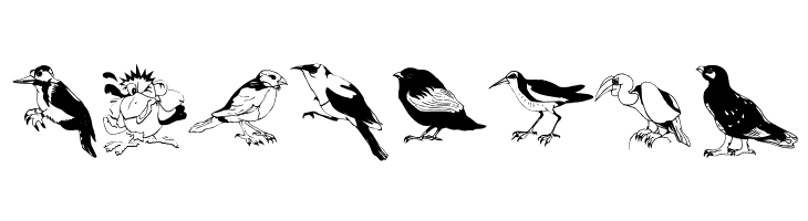 Blackbirds  Free Fonts Download