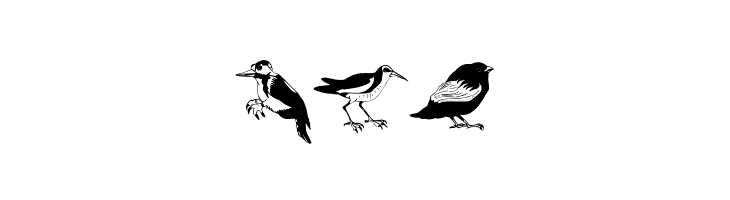 Blackbirds  Free Fonts Download